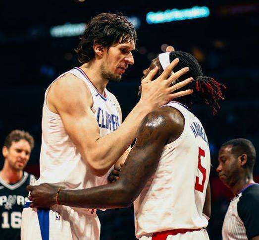 鲜明对比 鲜明对比